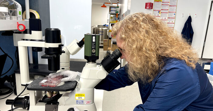 Scientist viewing samples under microscope