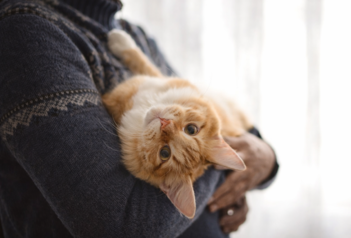 man holding a cat